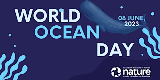 World Ocean Day at the Canadian Museum of Nature primary image