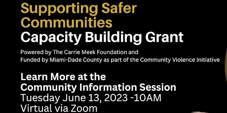 Virtual  Capacity Building Grant Community Info Session