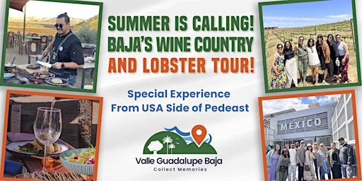 Imagen principal de Lobster and Two Winery Day-Trip from San Diego to Baja!  All Inclusive!