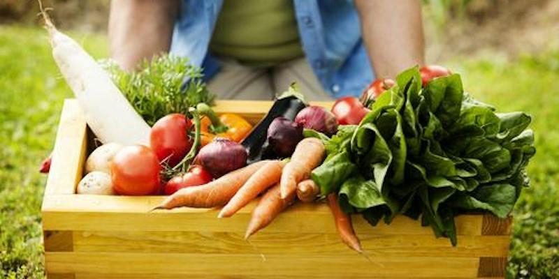Adult Gardening Workshop