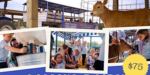 Imagem principal do evento Sally's Dairy Day Camp