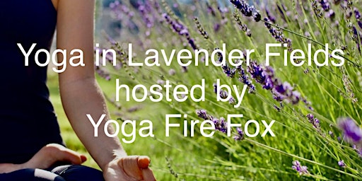 Gentle Yoga Afternoon  in the Lavender Fields primary image
