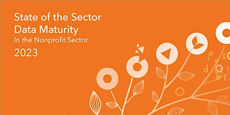 State of the Sector 2023 report - Data Maturity in the Nonprofit Sector primary image