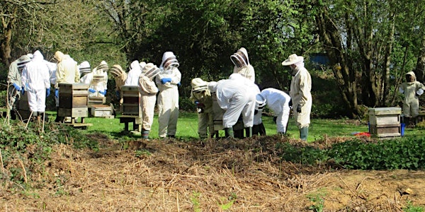 PDBKA Beginner Beekeepers Training Theory and Practical Sessions