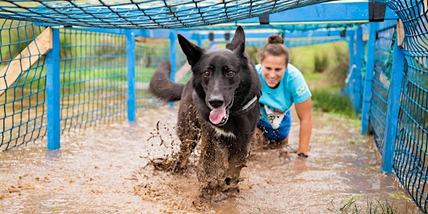 Muddy Dog Challenge Exeter 2019 - Saturday 13th April 