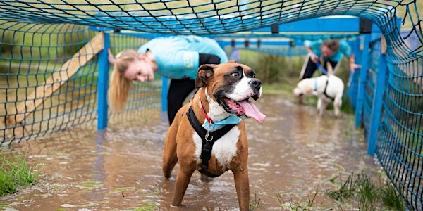 Muddy Dog Challenge Cheltenham 2019 - Saturday 1st June 