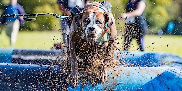 Muddy Dog Challenge Newcastle 2019 - Saturday 5th October 