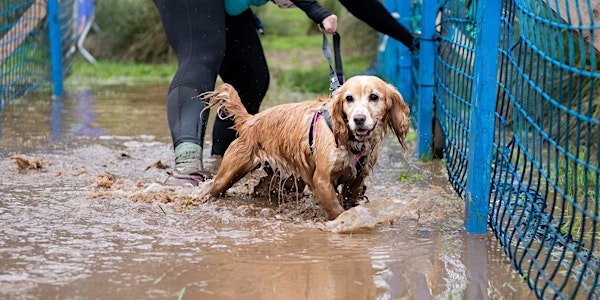 Muddy Dog Challenge Windsor 2019 - Saturday 11th May