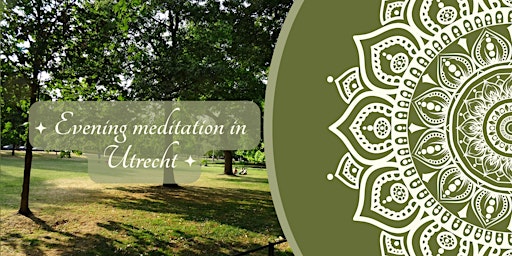 Evening meditation among the trees primary image