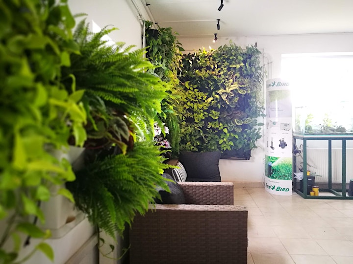 Zöldfal építés - tanfolyam a Minigarden Hungary szervezésében image