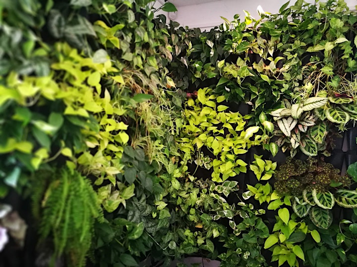 Zöldfal építés - tanfolyam a Minigarden Hungary szervezésében image