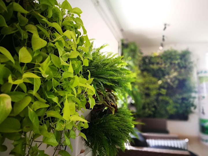 Zöldfal építés - tanfolyam a Minigarden Hungary szervezésében image