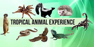 Imagem principal do evento Tropical Animal Experience