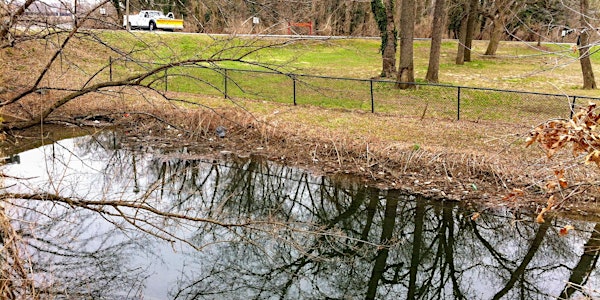 Land-based clean-up of 'Sunnyside' tributary