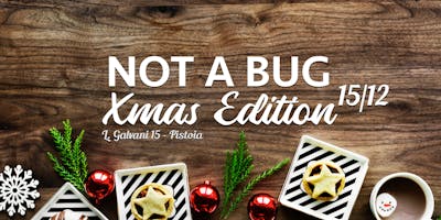 Not a Bug : Xmas Edition Not a Bug : Xmas Edition