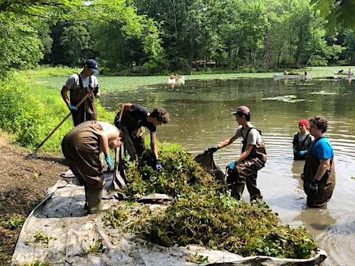 Collection image for Lake Revitalization at Blue Mountain Reservation