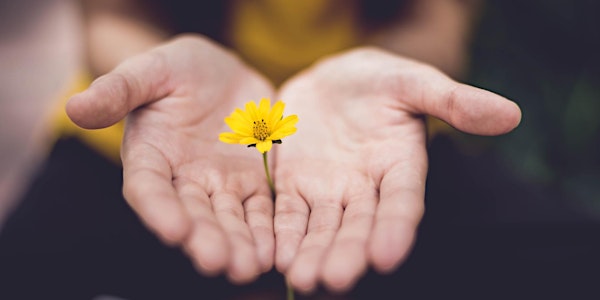 Detox, Renew, and Reset Your Life in 2019