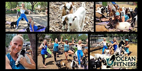 Goat Yoga Fun at Tree House Farm!! primary image
