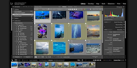 Improve Your Life with Lightroom with Sammy Falgiani primary image