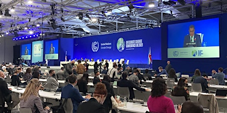 What is it like to be a Christian Observer at a UN Climate conference?