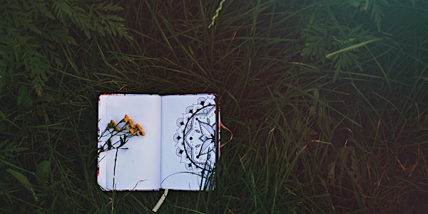 Understanding the Chakra System