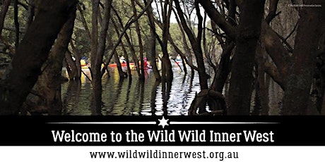 Wild Wild Inner West: River of Goolay’yari (Cooks River) Canoe Ride primary image