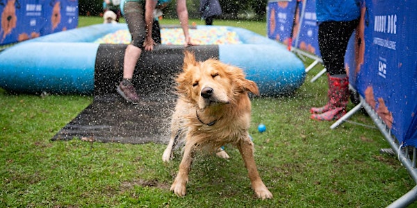 Muddy Dog Challenge Manchester 2019 - Saturday 14th September 