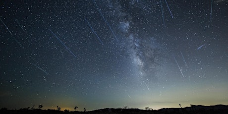 Milky Way & Meteor Shower Photography and Timelapse Workshop in Joshua Tree