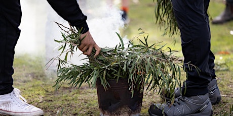 Smoking ceremony and community planting day  primärbild