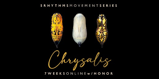 Imagem principal do evento Chrysalis: a 7 week online 5Rhythms Movement Series