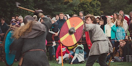 Imagem principal de Fight like a Viking - get started in Viking Re-enactment!