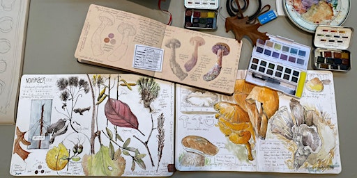 Botanical Observations: Designing a Sketchbook of Autumn Subjects (10/2-30) primary image