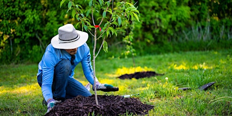 Community Planting Event primary image