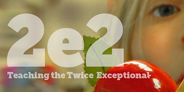  Community Discussion - Digging Deeper into 2e2: Teaching the Twice Excepti...