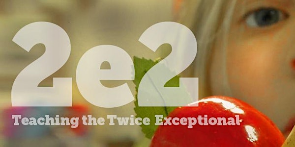 Community Discussion - Digging Deeper into 2e2: Teaching the Twice Excepti...