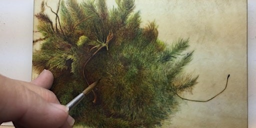 From Drawing to Painting: Botanical Art as a Process primary image