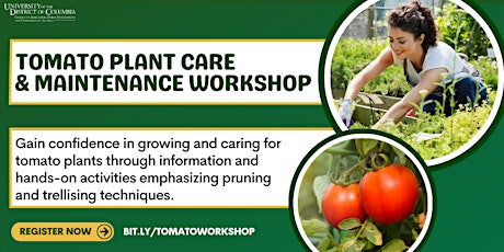 East Capitol Tomato Plant Care and Maintenance Workshop