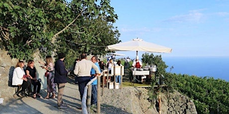 Ischia Wine Tasting Experience with Vineyard Tour and Transfer