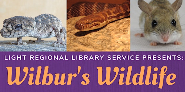 Freeling Library - Wilbur's Wildlife (1 hour Interactive Presentation)