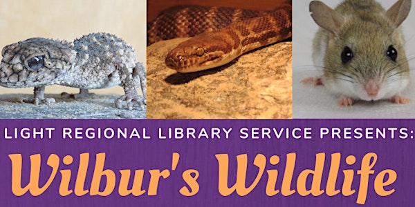 Kapunda Library - Wilbur's Wildlife (1 hour Interactive Presentation)