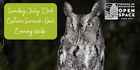 Eastern Screech Owl Walk with South Jersey Wildlife Tours