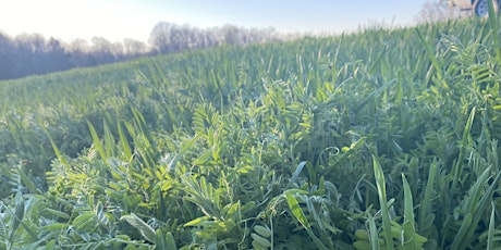 Primaire afbeelding van Cover Crop Workshop