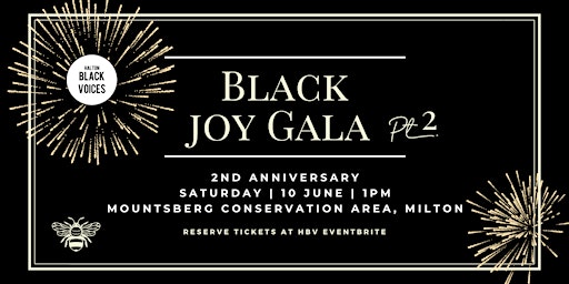 Hauptbild für Black Joy Gala