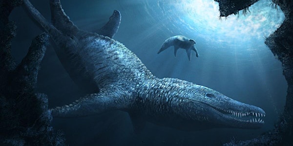 What is the Point of Palaeontology? Discussion Event & Pop-Up Exhibition
