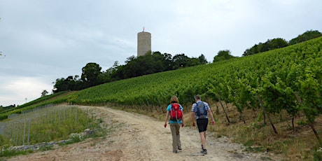 So,30.06.24 Wanderdate Singlewandern Weinlagen von Eltville für 40-65J