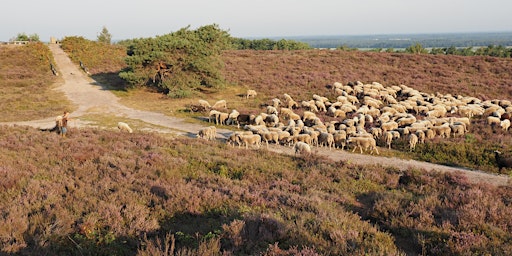 Imagem principal do evento Wandeling ‘Op hoog niveau op de Lemeler- en Archemerberg’ met lunch