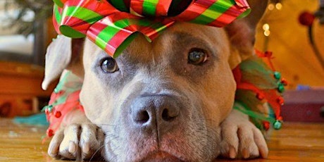 Gift Wrapping & Pictures with Santa Furbaby Rescue of NC primary image