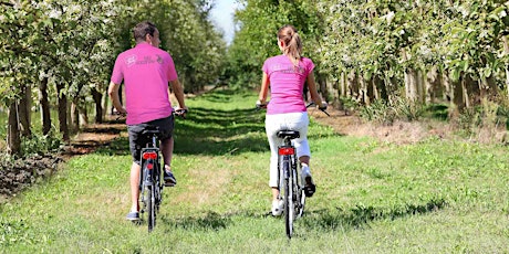 Image principale de PINK LADY® BEE-BIKE TOUR – sabato 17 giugno 2023, Faenza