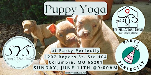 Puppy Yoga at Party Perfectly primary image