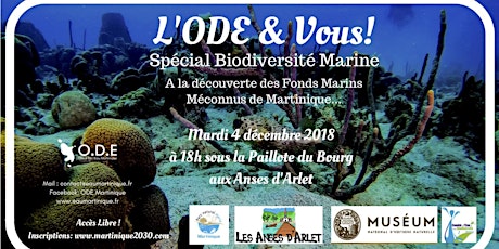 Image principale de Forum L’ODE & Vous : Spécial Biodiversité Marine